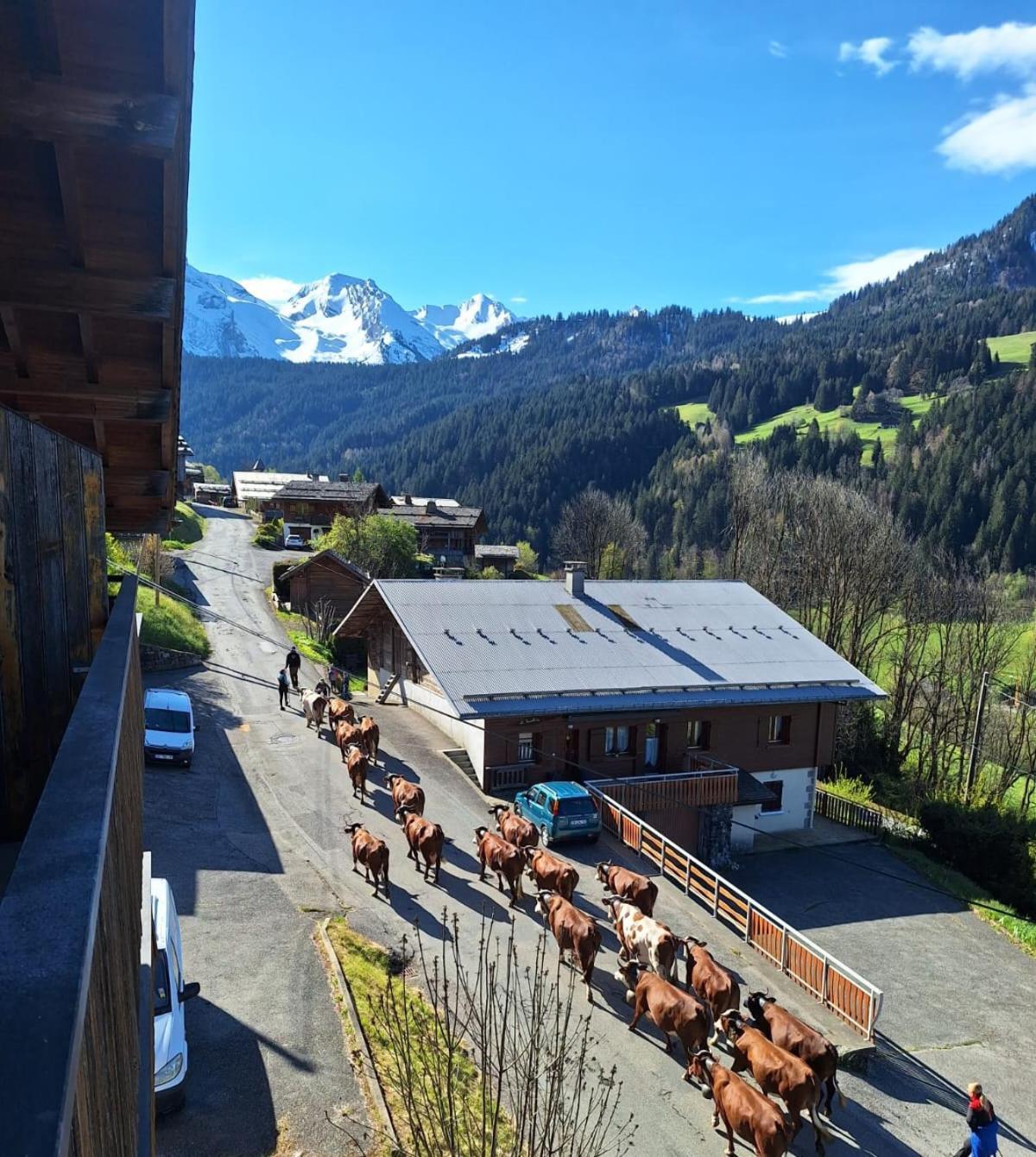 La Loulettaz Apartment Le Grand-Bornand Luaran gambar